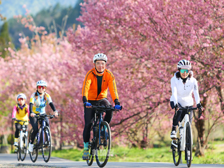 最新消息標題最新消息標題最新消息標題最新消息標題最新消息標題最新消息標題