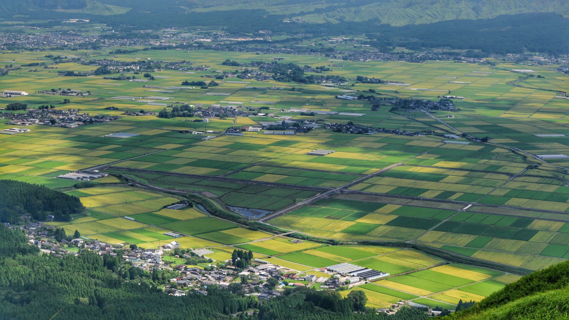 日本