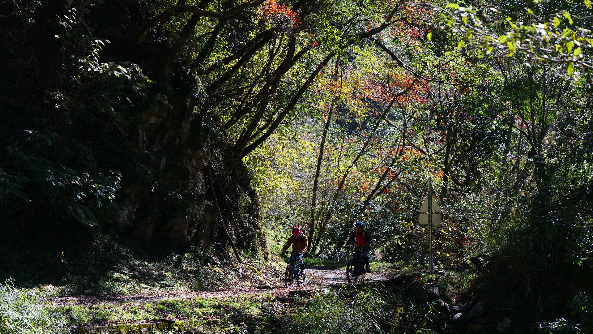 大鹿林道東線越野